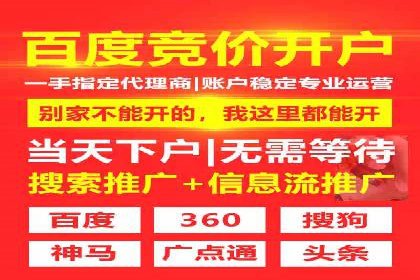 竞价广告端口开户的典型案例剖析